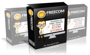Freecom-Blueprint-Review